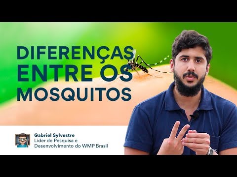 Vídeo: Qual é a diferença entre mosquito culex e anopheles?