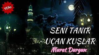 Seni tanır uçan kuşlar/müziksiz ilahi 2021/Murat Durgun Resimi