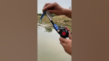 Best Fishing Rod and Reel Combo Set |Perfect for Beginners & Pros 🎣#fishingrod #fishingreels #shorts