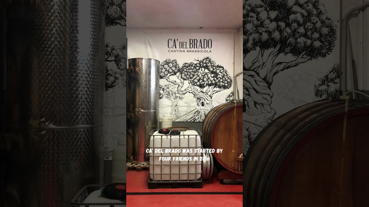 Come along with me to a craft brewery in Italy!