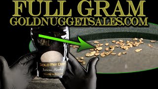 Gold Prospecting at Home # 86  Goldnuggetsales Juneau, Alaska 1 Gram Guaranteed Gold Paydirt Bag