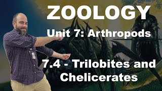 Zoology - 7.4 - Trilobites and Chelicerates