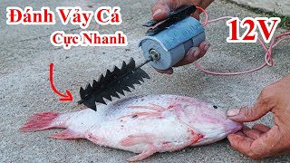 Cách Chế Máy Đánh Vảy Cá Cực Nhanh Xài 12V . Chế Máy Làm Thịt Cá . Amazing Automatic Fish Processing