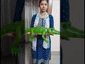 🌿🐊 Handmade Crocodile from Palm Leaves | Incredible Talent। #ai #ai craft #creative