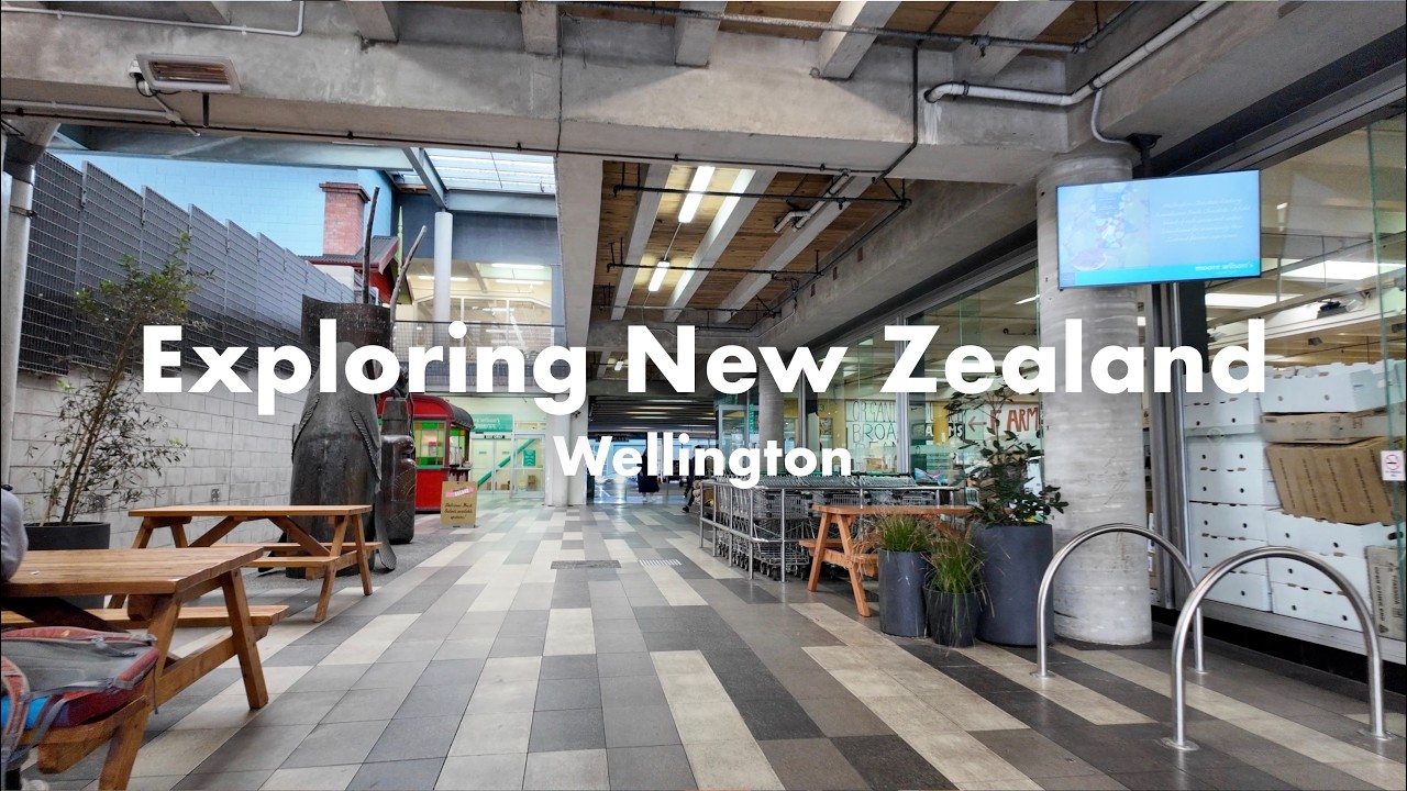 Walk Around Wellington | Cafe, Art Gallery, Basin Reserve, University, Shops