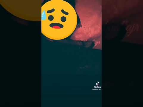 ليلة مسوكنه الباشا حمو مولا جنوي الحومر الجزاره لهنشاره