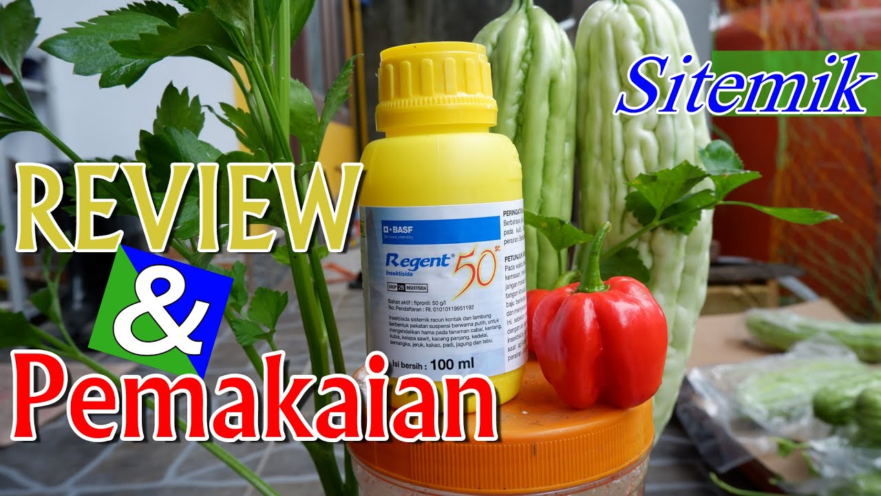 Review dan Penggunaan INSEKTISIDA REGENT Racun SITEMIK 