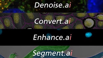 NIS.ai - A Growing Suite of AI Tools in Microscope Imaging Software NIS-Elements