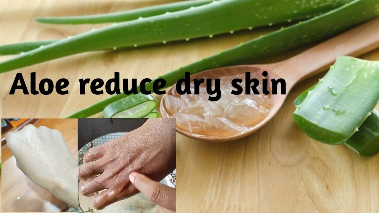វិធីបំបាត់ស្បែកស្ងួត aloe reduce dry skin