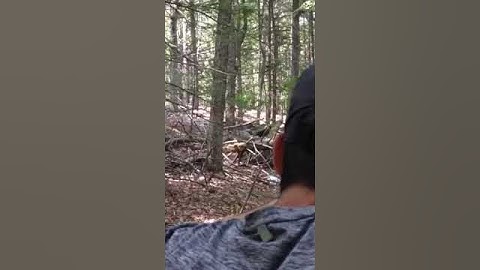 H2 Target Tree Removal