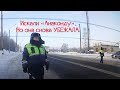 Срочная новость! В Нижегородской области объявилась &quot;анаконда&quot;! Убежала при виде видеокамеры!