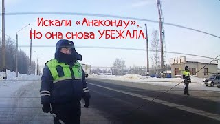 Срочная новость! В Нижегородской области объявилась &quot;анаконда&quot;! Убежала при виде видеокамеры!