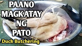 PAANO MAG KATAY NG PATO | DUCK BUTCHERING