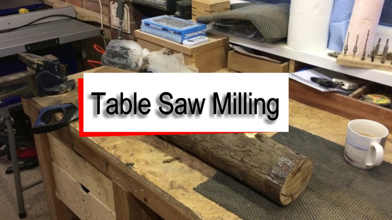 Can A Table Saw Cut Logs? - The Habit of Woodworking