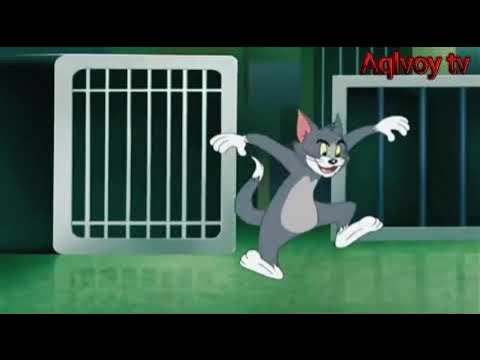 Fohisha xotinlarning yalangoch fotosuratlari Yupqa elastik dumbalar