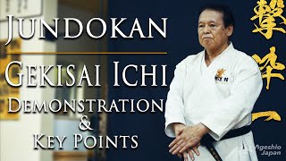 Goju-ryu Karate Kata | Gekisai Ichi | Okinawa Karate Grand Master | Ageshio Japan