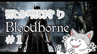 【ほぼ覚えてない】獣狩りの夜【Bloodborne】
