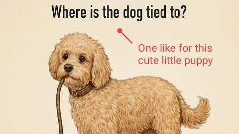 Only genius people can solve this puzzle!! 🧩🧩