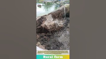 Pondside Excavation Site Disaster: One Mistake Could Collapse The Embankment