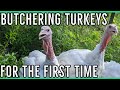 Butchering Turkeys For the First Time ||How to Process a Turkey & Supplies Needed||