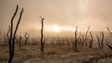 Windy Desert Ambience & Sounds | Lonely, Moody, Wind, Wilderness | Meditation White Noise | 12 Hours