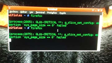 GLib-CRITICAL **: g_slice_set_config: assertion `sys_page_size == 0