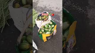 kisan 🌱🍅 paisa #kisan #kisanpaisa #shortsfeed #farming #newtrending #minivlog #youtubeshorts