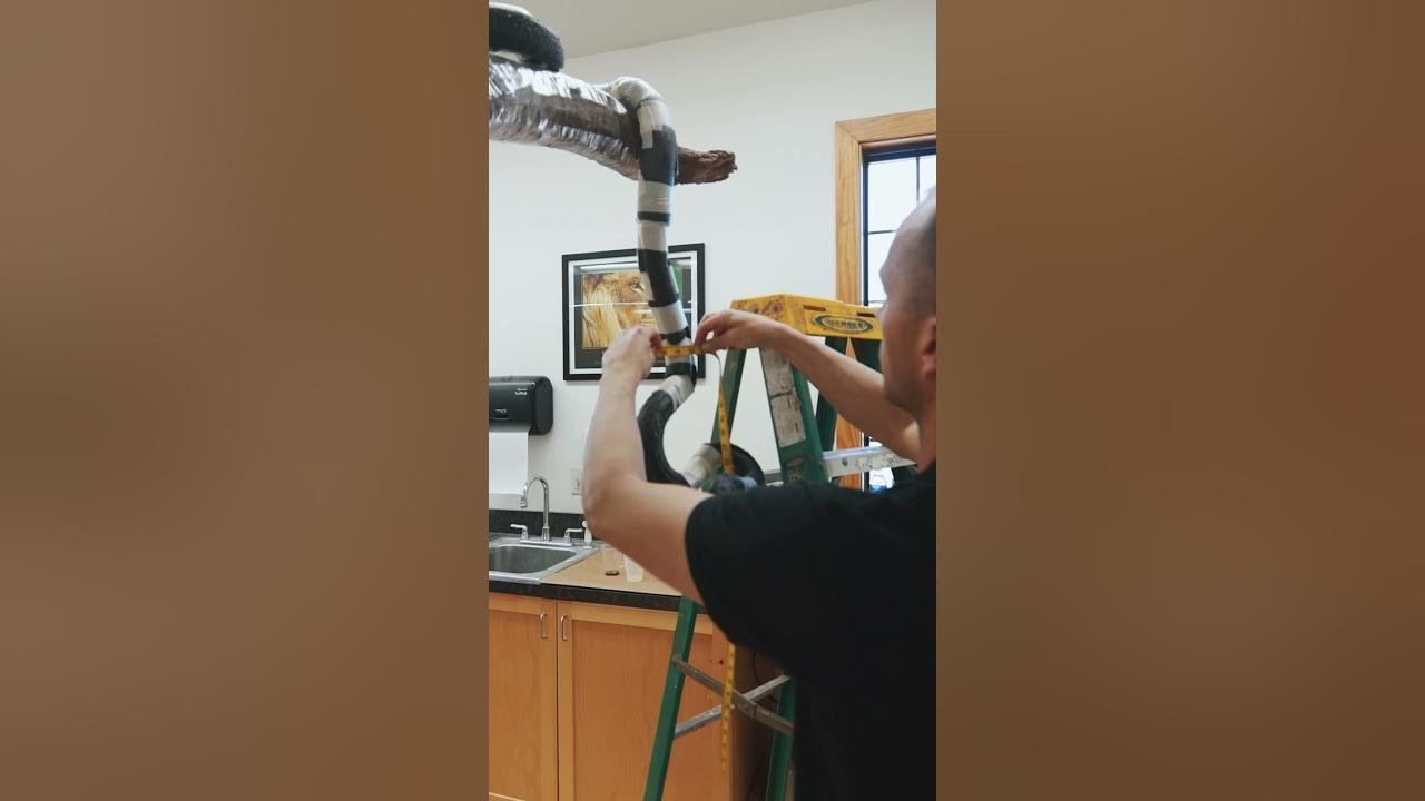 Rock Python Mount - YouTube