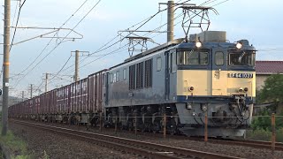 【4K】JR伯備線 EF64-1037号機牽引 貨物列車