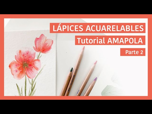 Como Pintar Flores con Lapices Acuarelables, Paso a Paso y muy Facil 