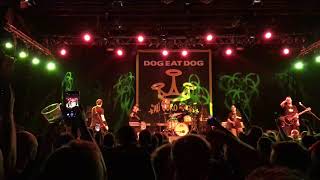 Dog Eat Dog - In The Dog House - Warszawa - 03.10.19