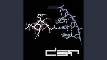 DTXR