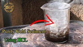 Purify Gold Sediment Using Hydrochloric Acid Hcl Easy Method 