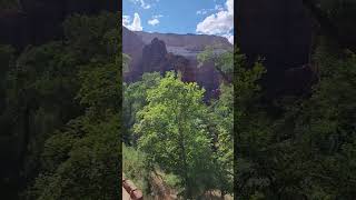 Walking in Zion National Park