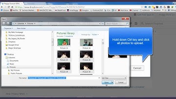 How to Add Files and Share Folders On Dropbox