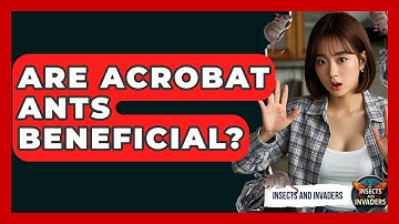 Are Acrobat Ants Beneficial? - Insects and Invaders