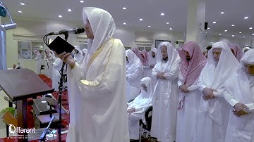 رتلاوة هادئة وجميلة - الشيخ: عمر الدريويز | رمضان | صلاة التراويح | 1439