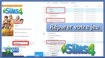 Comment débloquer un Sims bloqué Sims 4 ?