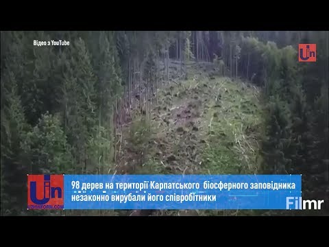 98 дерев на території Карпатського біосферного заповідника незаконно вирубали його співробітники