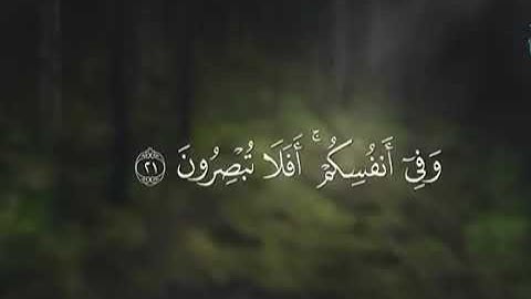تلاوات " كَانُوا قَلِيلًا مِّنَ اللَّيْلِ مَا يَهْجَعُونَ " 🌹🎋