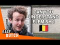 Do the dutch understand flemish  easy dutch 58