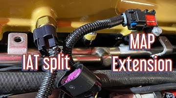 LSA Blower - Split IAT from MAF, Extend MAP, Extend DBW for sensors.