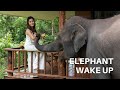 Chiang Mai Elephant Bungalows