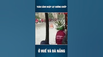 Toàn cảnh ngập lụt khủng khiếp ở Huế và Đà Nẵng #tintuc