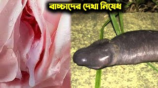 কি বিশ্বাস হয়না? তাহলে নিজের চোখেই দেখুন আল্লাহর কুদরতি অদ্ভুত গাছ miracle tree | miracle of allah