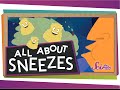 All About Sneezes!