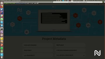 Nemesis Platform - Setup
