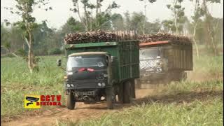 BESI TUA MUAT TEBU~TRUK FUSO GOPRAK MASIH MAMPU MEMBAWA BEBAN BERAT