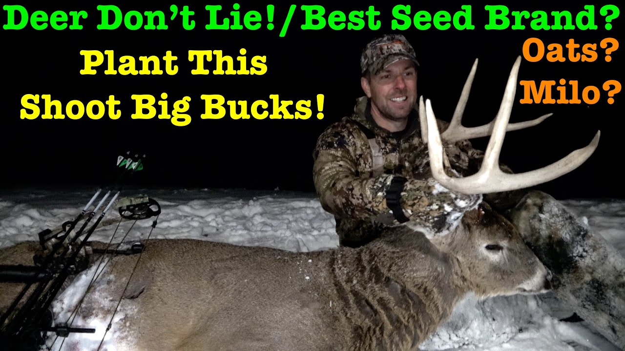 Deer Hunters Food Plot Seed Showdown! What Attracts The Most Bucks?