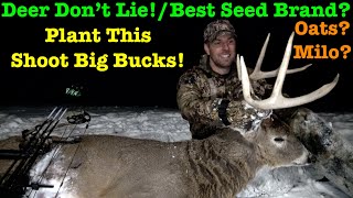 Deer Hunters Food Plot Seed Showdown! What Attracts The Most Bucks?